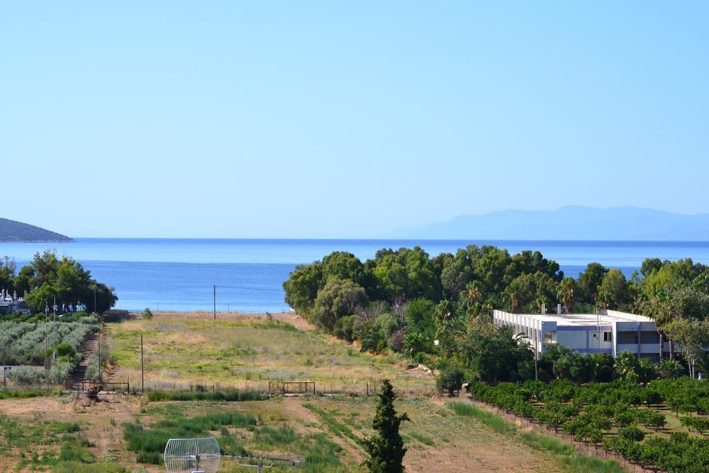 Alexandros Apartments Drepano (Argolis) Exterior foto