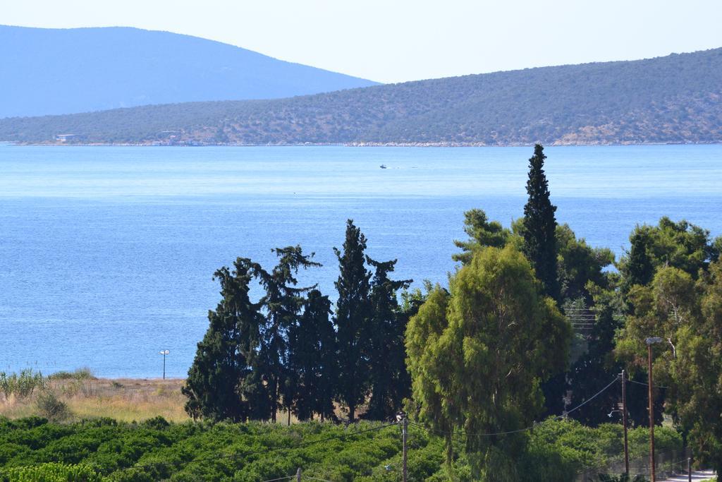 Alexandros Apartments Drepano (Argolis) Quarto foto